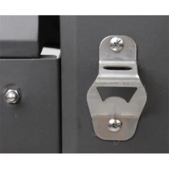 Barbacoa De Carbón Xenon -Ofertas Sabores BBQ Tienda Barbacoa Carbon Xenon Grandhall 7