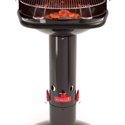 BARBECOOK Barbacoa Loewy 50 -Ofertas Sabores BBQ Tienda Barbacoa Loewy 50 7