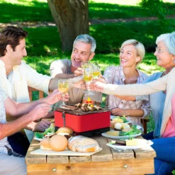 Barbacoa Portatil Sin Humo Teide Rojo -Ofertas Sabores BBQ Tienda Barbacoa Portatil Sin Humo Teide Rojo 14