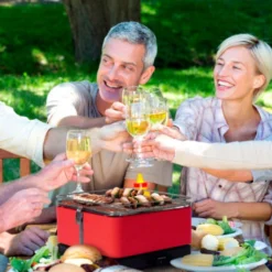 Barbacoa Portatil Sin Humo Vesubio Gris -Ofertas Sabores BBQ Tienda Barbacoa Portatil Sin Humo Vesubio Gris 16