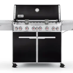 Barbacoa Weber Summit E-670 GBS Negro