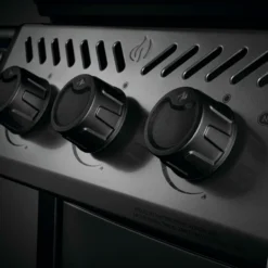 Napoleon Freestyle 365 -Ofertas Sabores BBQ Tienda Napoleon Freestyle 365 7