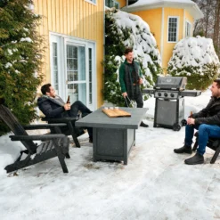 Napoleon Freestyle 365 Con Quemador Lateral -Ofertas Sabores BBQ Tienda Napoleon Freestyle 365 con Quemador Lateral 19