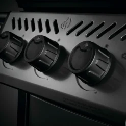 Napoleon Freestyle 365 Con Quemador Lateral -Ofertas Sabores BBQ Tienda Napoleon Freestyle 365 con Quemador Lateral 7