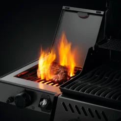 Napoleon Freestyle 365 Con Quemador Lateral Sizzle Zone -Ofertas Sabores BBQ Tienda Napoleon Freestyle 365 con Quemador Lateral Sizzle Zone 15