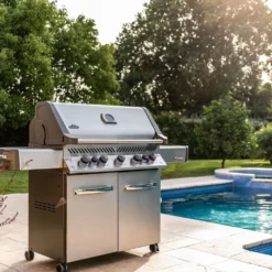 Napoleon Prestige 665 P665RSIBPSS Acero Inoxidable -Ofertas Sabores BBQ Tienda Napoleon Prestige 665 P665RSIBPSS Acero Inoxidable 15