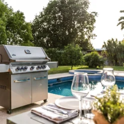 Napoleon Prestige 665 P665RSIBPSS Acero Inoxidable -Ofertas Sabores BBQ Tienda Napoleon Prestige 665 P665RSIBPSS Acero Inoxidable 17