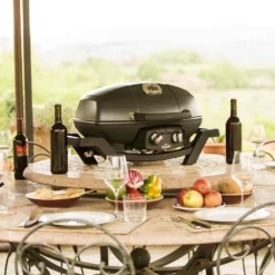 Napoleon TravelQ Pro 285 Gas -Ofertas Sabores BBQ Tienda Napoleon TravelQ Pro 285 Gas 10