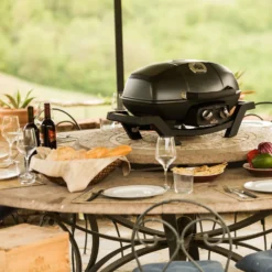 Napoleon TravelQ Pro 285 Gas -Ofertas Sabores BBQ Tienda Napoleon TravelQ Pro 285 Gas 12