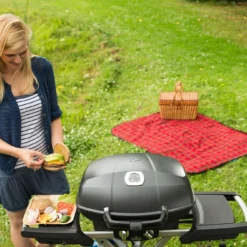 Napoleon TravelQ Pro 285X Gas Con Carro -Ofertas Sabores BBQ Tienda Napoleon TravelQ Pro 285 Gas con Carro 11