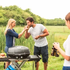 Napoleon TravelQ Pro 285X Gas Con Carro -Ofertas Sabores BBQ Tienda Napoleon TravelQ Pro 285 Gas con Carro 12