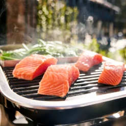 Weber Lumin 1000 Compact Roja -Ofertas Sabores BBQ Tienda Weber Lumin 1000 Compact Roja 19