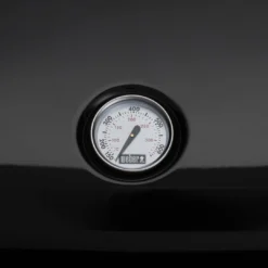 Weber Lumin 2000 Negra -Ofertas Sabores BBQ Tienda Weber Lumin 2000 Negra 6