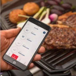 Weber Pulse 1000 -Ofertas Sabores BBQ Tienda Weber Pulse 1000 10