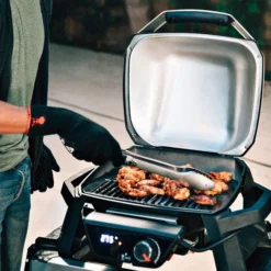 Weber Pulse 1000 -Ofertas Sabores BBQ Tienda Weber Pulse 1000 11