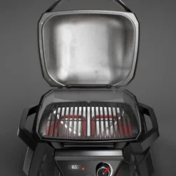 Weber Pulse 1000 -Ofertas Sabores BBQ Tienda Weber Pulse 1000 7
