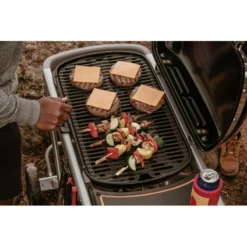 Weber Traveler Negra -Ofertas Sabores BBQ Tienda Weber Traveler Negra 15
