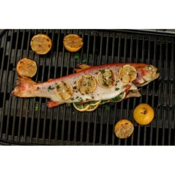 Weber Traveler Negra -Ofertas Sabores BBQ Tienda Weber Traveler Negra 17